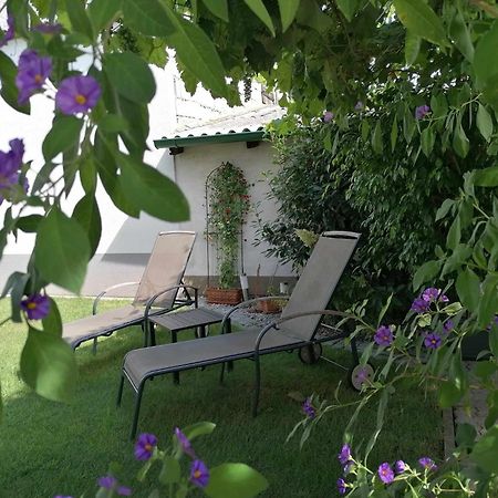 Nationalparkhof Gartner Weingut-Gastehaus Hotel Илмиц Екстериор снимка