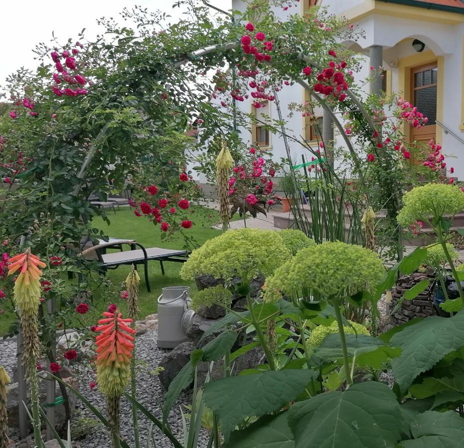 Nationalparkhof Gartner Weingut-Gastehaus Hotel Илмиц Екстериор снимка
