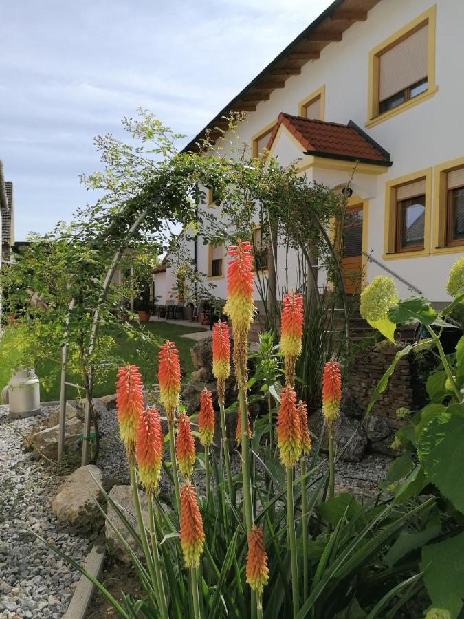 Nationalparkhof Gartner Weingut-Gastehaus Hotel Илмиц Екстериор снимка