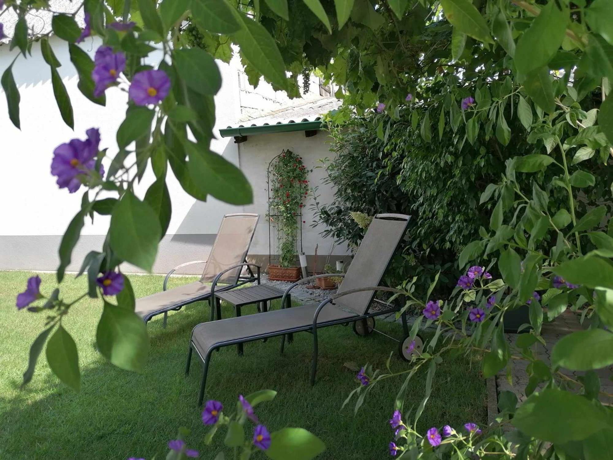 Nationalparkhof Gartner Weingut-Gastehaus Hotel Илмиц Екстериор снимка